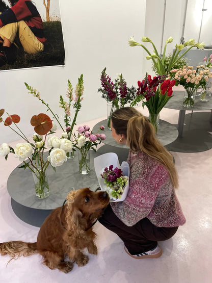 Balta Multicolor Knit Sweater